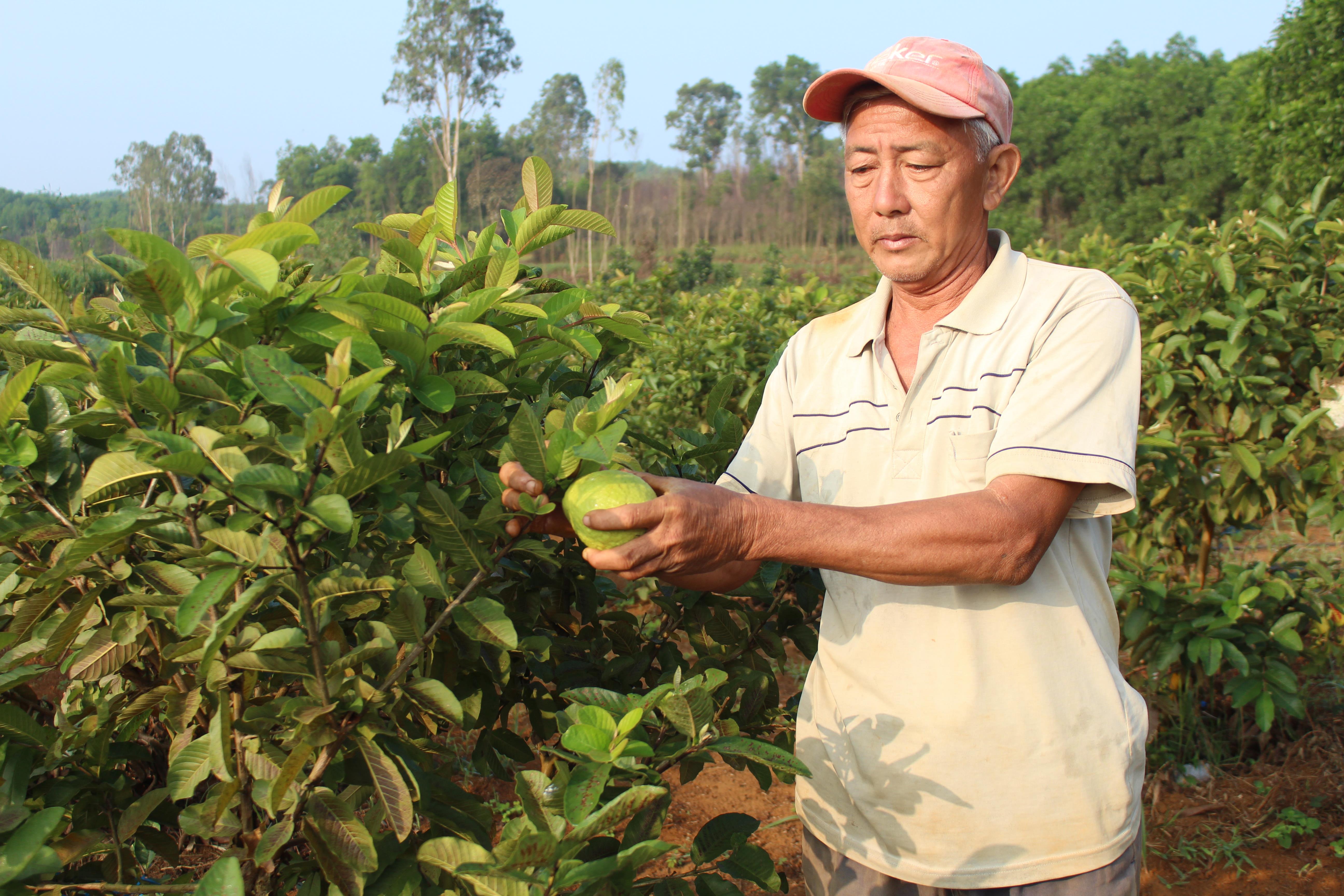 Bí thư chi bộ tiên phong trên mọi lĩnh vực

